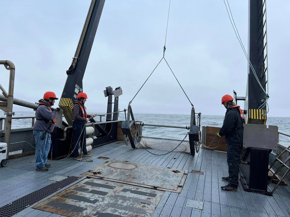 Sponaugle-Cowen Lab (@osuplanktonlab) on Twitter photo Earlier this week, Plankton Ecology Lab graduate student <a href="/conser_elena/">Elena Conser (she/her)</a> teamed up with <a href="/OregonSeaGrant/">Oregon Sea Grant</a> STEM-at-sea to collect recently metamorphosed English sole for her dissertation research, with the help of high school students from Newport and Sheridan schools. Earlier this week, Plankton Ecology Lab graduate student <a href="/conser_elena/">Elena Conser (she/her)</a> teamed up with <a href="/OregonSeaGrant/">Oregon Sea Grant</a> STEM-at-sea to collect recently metamorphosed English sole for her dissertation research, with the help of high school students from Newport and Sheridan schools.