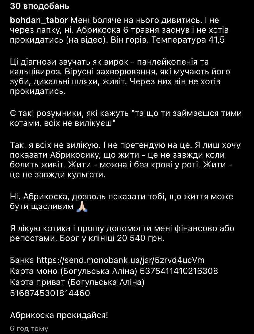 goofy__deer's tweet photo. Давайте допоможемо Абрикосці жити 😭❤️ 

https://t.co/wft640PLgn https://t.co/eXCDMUZoXM