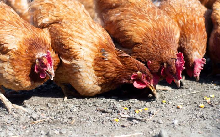 PrintCorps's tweet image. If you dig it, you're a genius