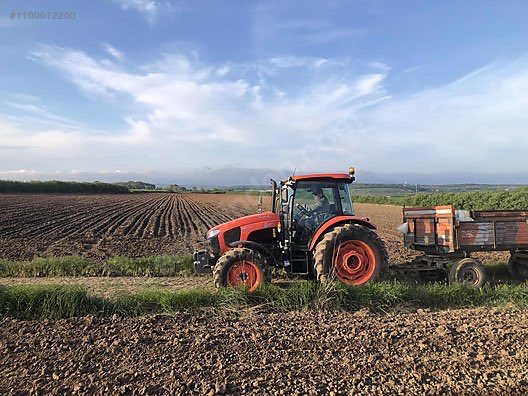 Doğan Kır tweet media