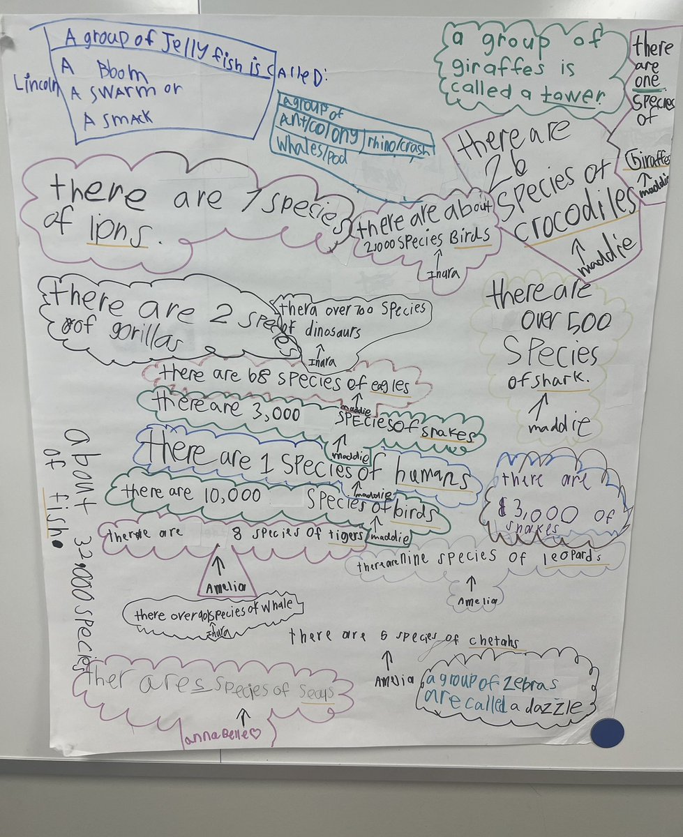 In case you wondered how many species of crocodiles there are or what a group of jellyfish are called… 😂😂 I present: Independent research study by Ms. Pettit’s Super Curious First Graders. <a href="/canSTEM/">Cannon Cubs</a>