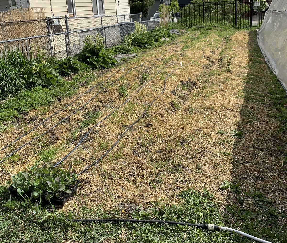 Lori Koenick tweet media