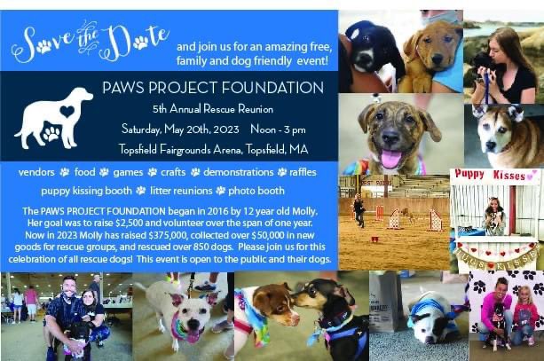 @downtownkennedy @deskon7 @myfoxboston @7News @WCVB @wbz @NBC10Boston @Kiss108 @wzlx @Mix1041 PAWS Project, a partner of Great Dog Rescue & we hope to raise $20,000 at this event! All the proceeds go to bringing more dogs north through GDRNE.