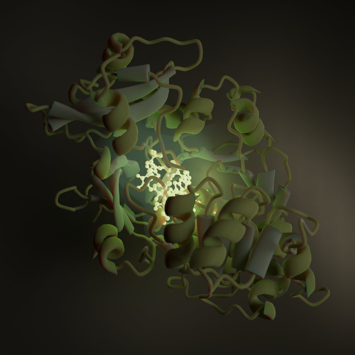 GraysonTilstra's tweet photo. It's everyone's favourite reporter protein, Firefly Luciferase!  💡

Done with the new update to #molecularnodes from @bradyajohnston. Having direct access to protein secondary structure in Blender makes for striking renders.

#sciart #b3d #Blender3D https://t.co/OdIEyXRqNz