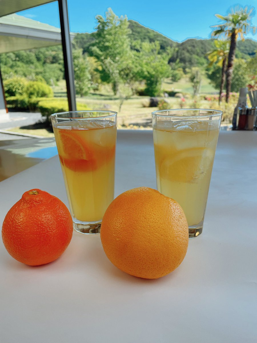 olymashikaga's tweet photo. 暑いですね🥵
寒暖差に気をつけて楽しいプレーを❗️
#オレンジハイボール#グループフルーツハイボール#足利 https://t.co/vkDvDyfxFs