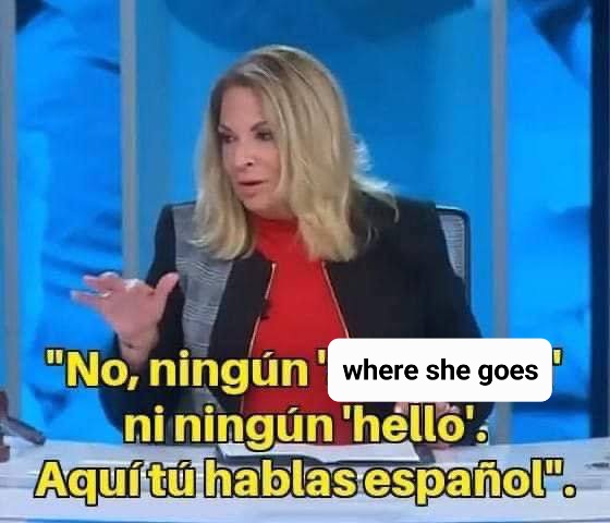 aldi 🕸 (@suburbanaldi) on Twitter photo 