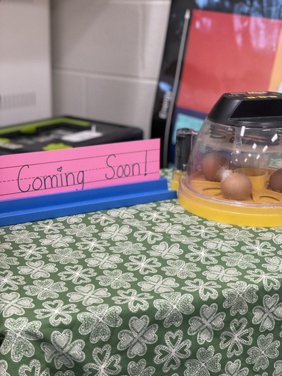 One week to go! We are getting really excited-we can’t wait to meet our new chick friends! 💙💛@TisdaleSchool
