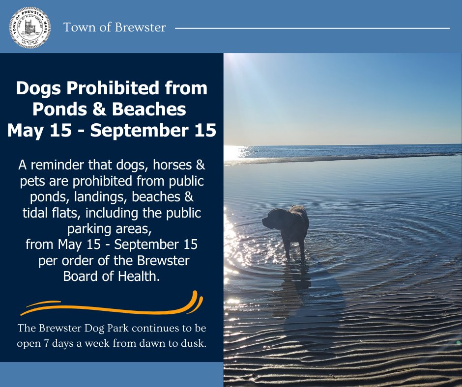 Town of Brewster tweet media