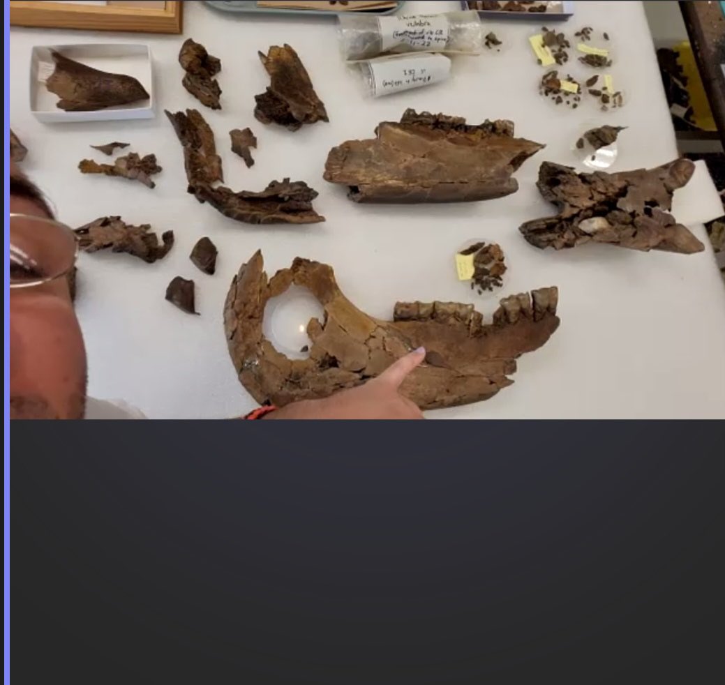 Jennifer Garrett tweet media