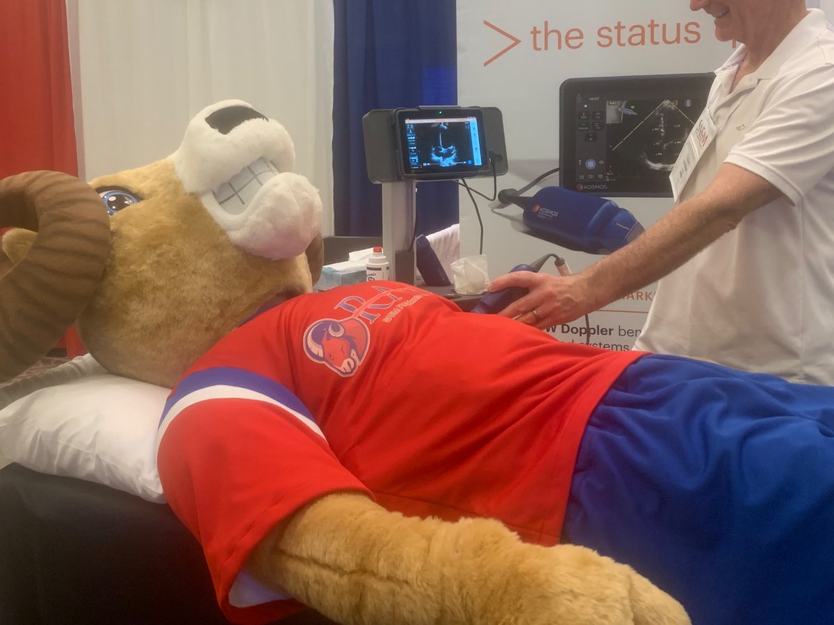 Doing our part to #keepaustinweird here at #SAEM23 Never a dull moment at the @echonous booth! #POCUS