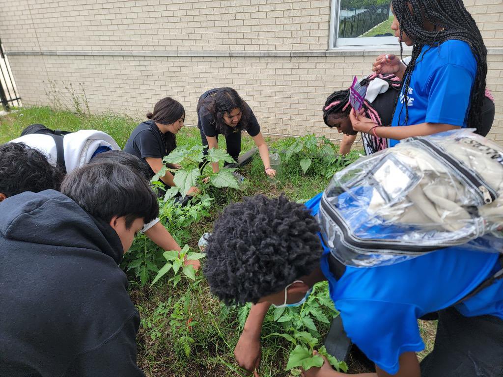 lopezlucy29's tweet photo. Shoutout to the incredible Ms. Cameron for spearheading the Garden Club at @SeagovilleMidd1 🌿🌻Her passion for nurturing green thumbs and fostering a love for science and nature is truly inspiring🪴🌱 @dallasschools https://t.co/12mKnlGUlC