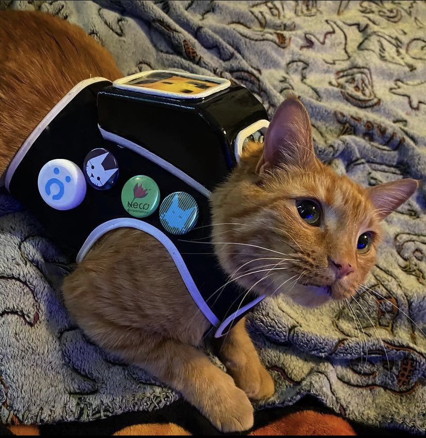 My little Outsider 🐱❤️ <a href="/CatsWatchStray/">Cats Watching Stray</a> <a href="/A_i/">Annapurna Interactive \\ "to a T" is OUT NOW!</a> #Stray #Straygame