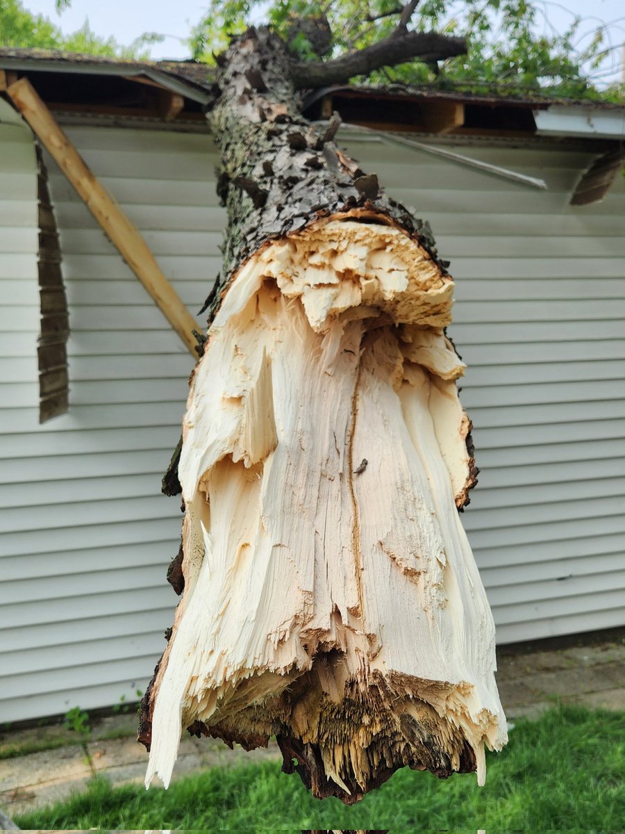 kellylecker's tweet image. If a tree falls on your garage and nobody is around to hear it, does it make a sound?