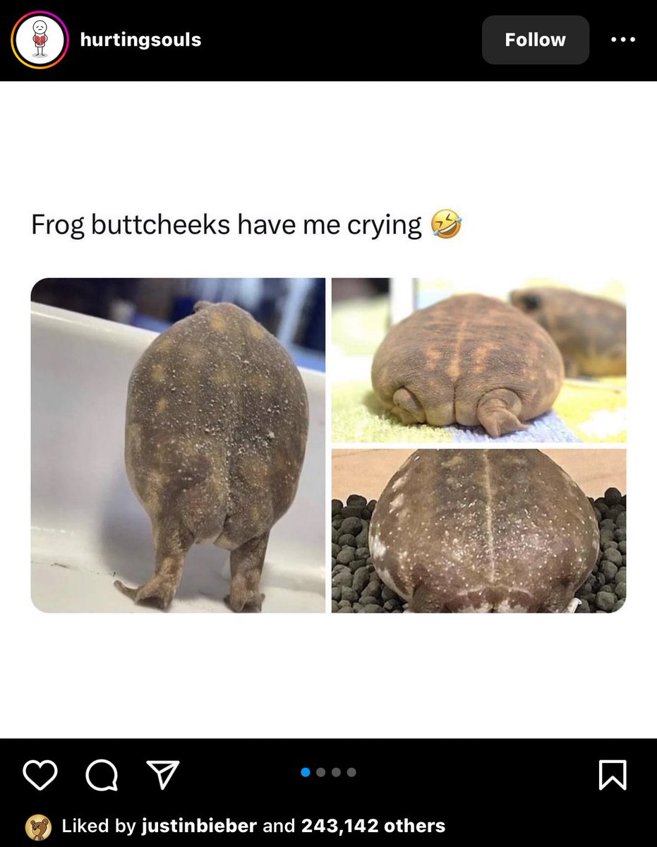 HEARTOFABG's tweet image. i’m screaming. why is justin liking frog butts on instagram??? 😭😭😭