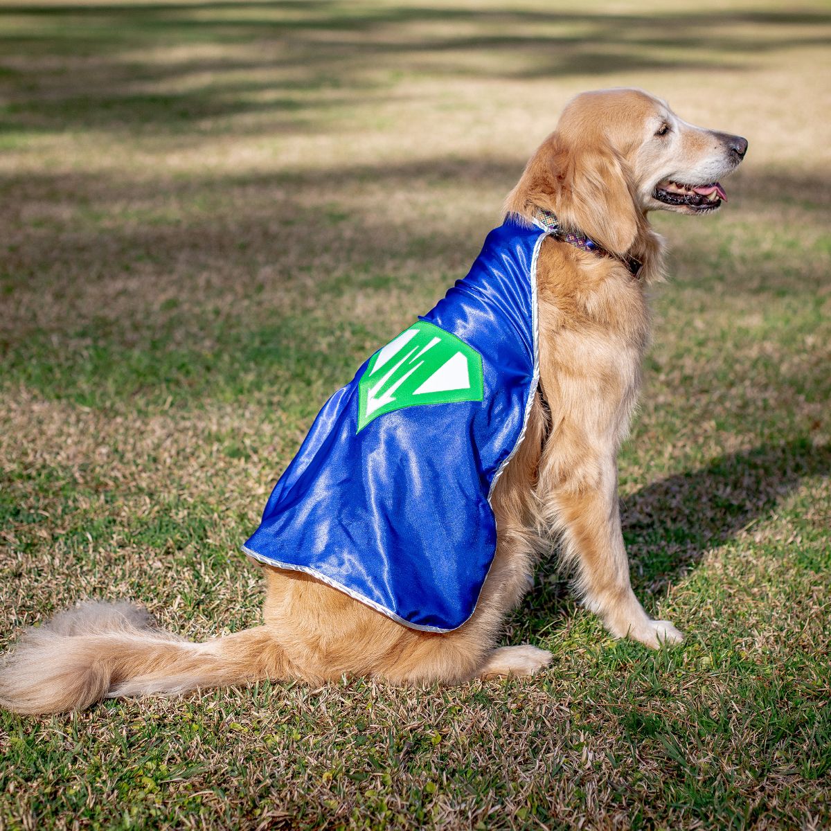 Product Highlight - Personalized Superhero Capes - mailchi.mp/everfan.com/pe… #personalized #superhero #superherocape #dogcape #dogcostume #halloween2023 #familycostume