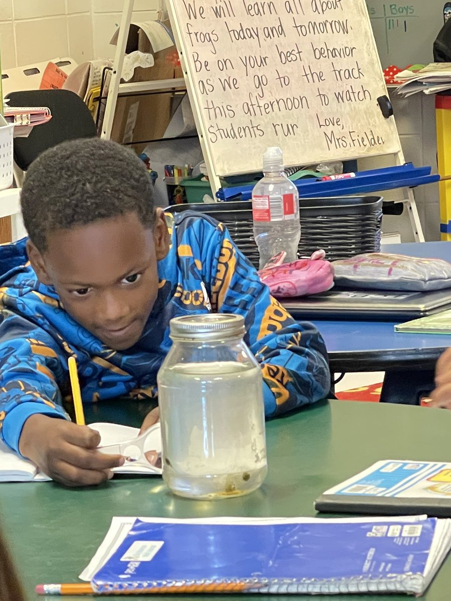 afielder76's tweet photo. First grade has loved reading, writing, coding, problem solving, and observing frogs this week! @MunfordElem https://t.co/axpP8xhYEW