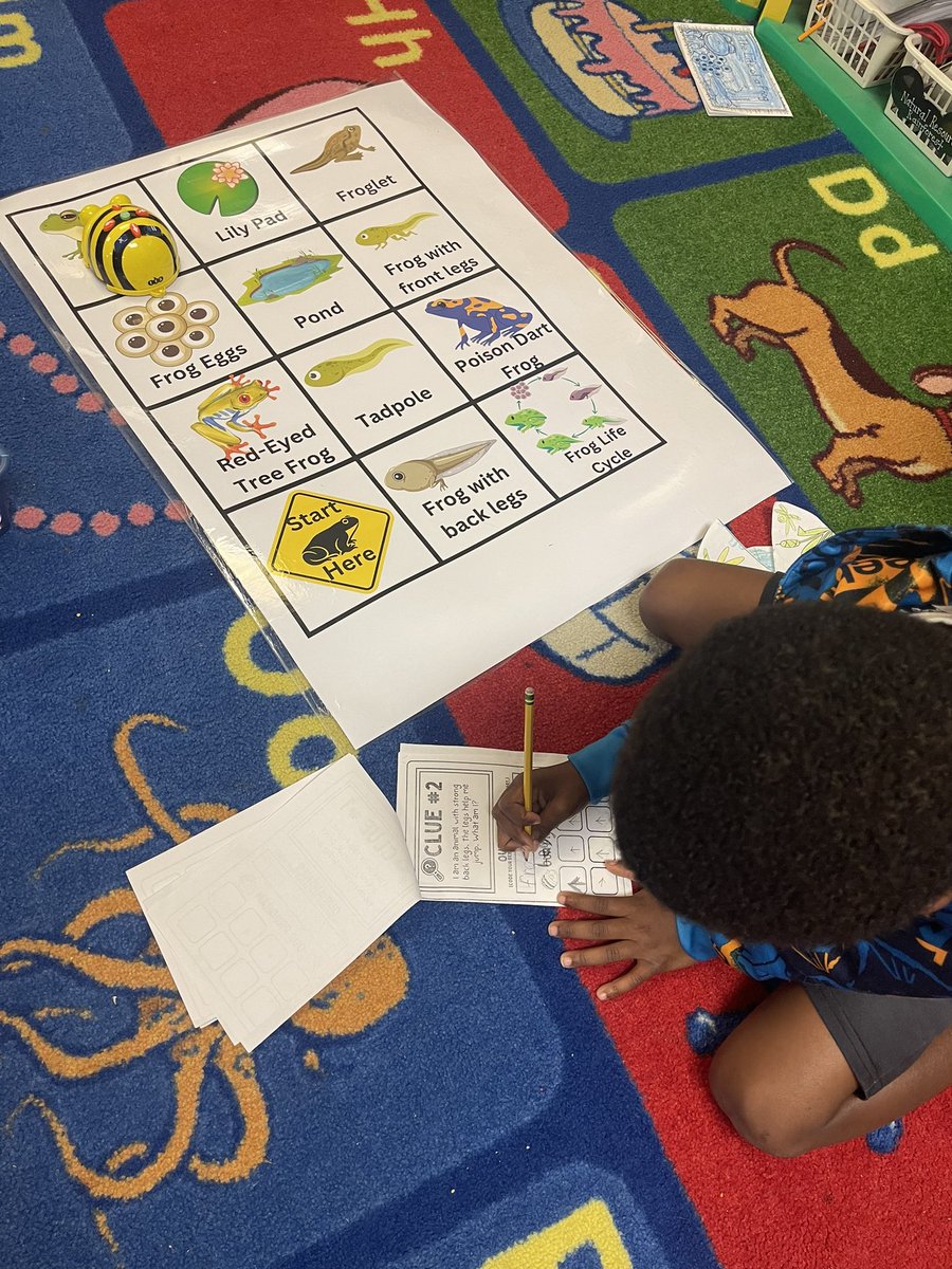 afielder76's tweet photo. First grade has loved reading, writing, coding, problem solving, and observing frogs this week! @MunfordElem https://t.co/axpP8xhYEW