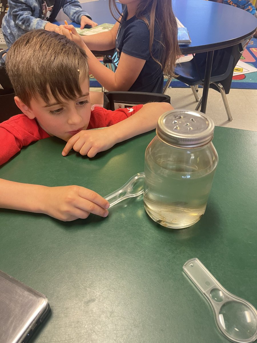afielder76's tweet photo. First grade has loved reading, writing, coding, problem solving, and observing frogs this week! @MunfordElem https://t.co/axpP8xhYEW