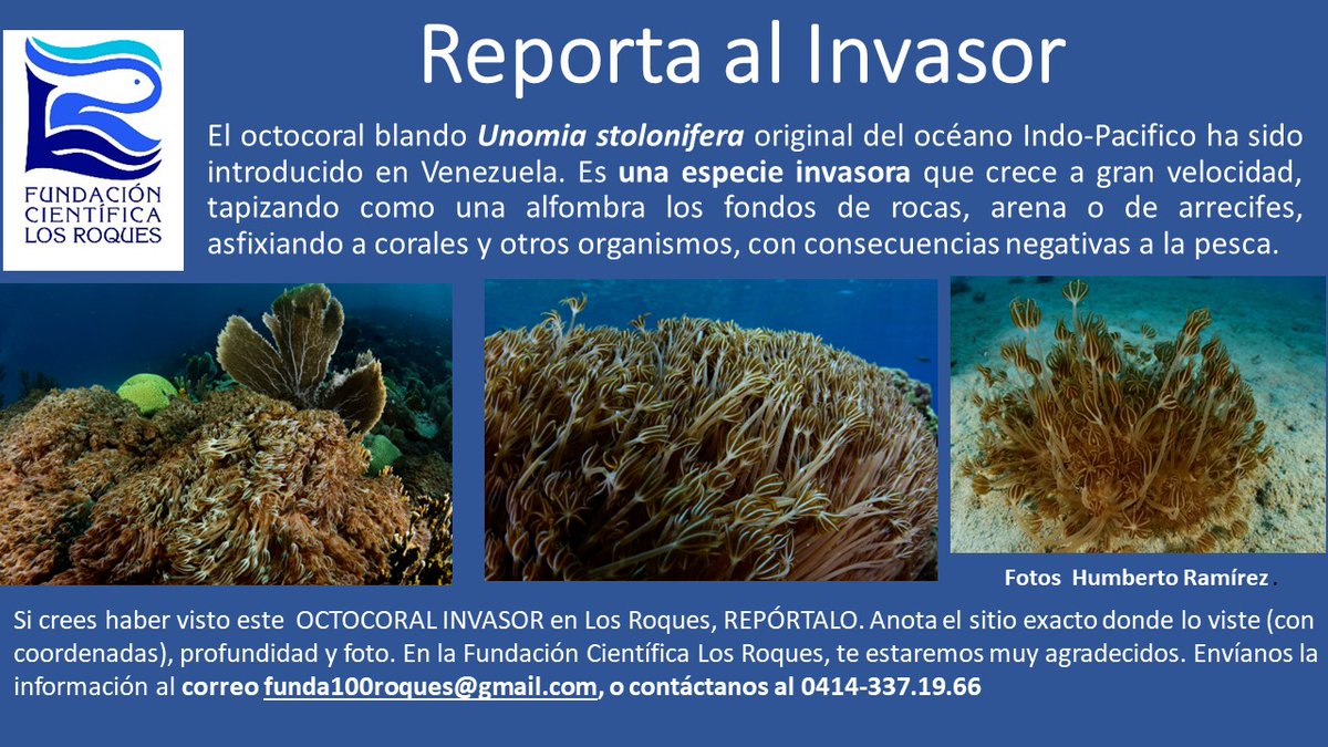 fc_roques tweet picture