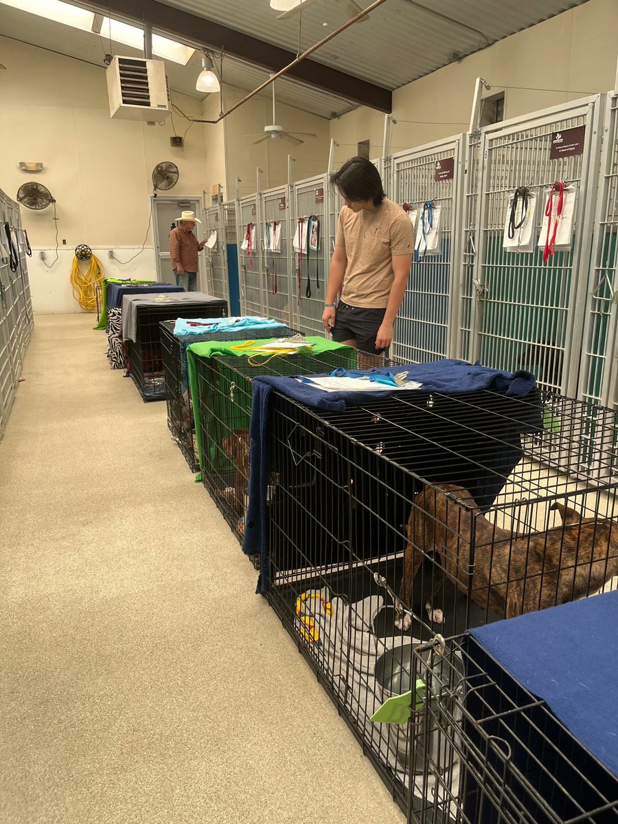 AggielandHumane's tweet photo. 🆘 OVER 325 PETS IN OUR CARE RIGHT NOW

Since Monday, we have taken in OVER 50 dogs into our already full kennels. 
Please help alleviate the space crisis by:  
Fostering: https://t.co/HIgKDbLaM9 
Adopting: https://t.co/t5N7KTEwM7 

Please help spread the word! THANK YOU! https://t.co/iLx0NwEUeE