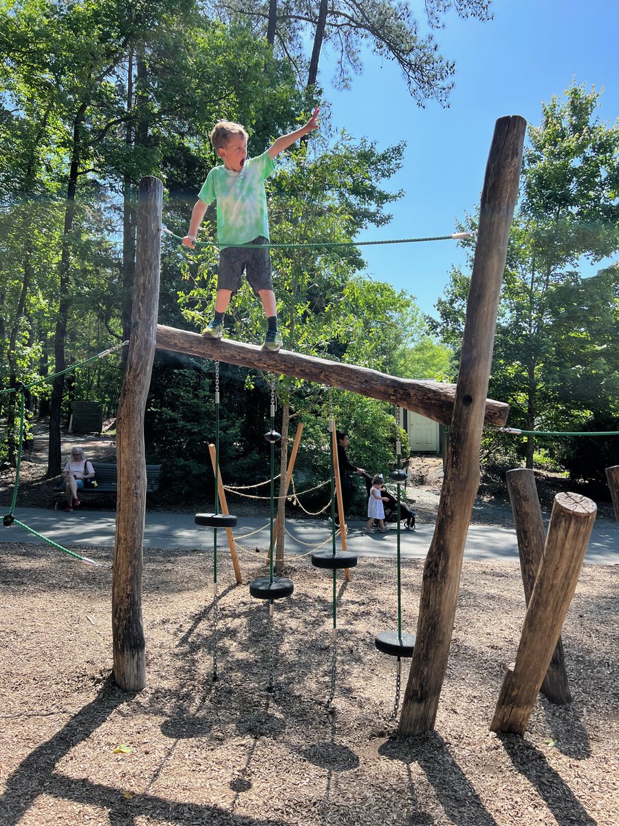 Sydney Lewis tweet media