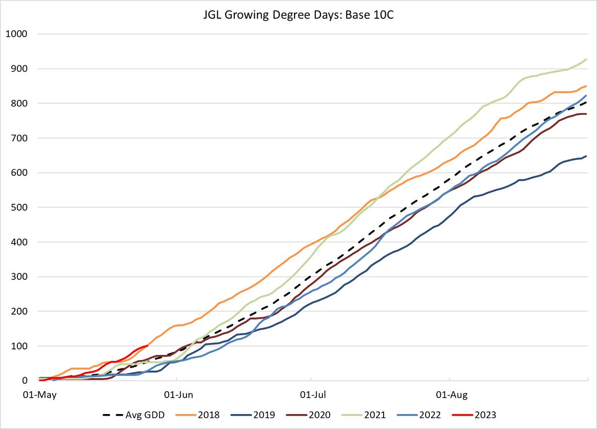 Tale of two years. Including the forecast puts our growing degrees one full month ahead of last year. The hops are jumping and definitely reacting to the heat!