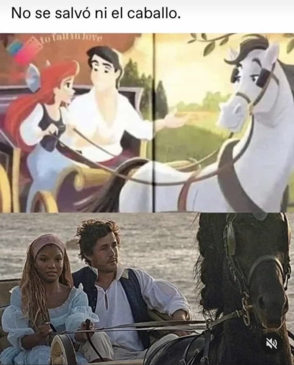 3mSsantos's tweet photo. #LittleMarmaid
Yo no sé por qué dicen eso,
si son exactamente iguales 🫠🤭
O No? https://t.co/EIMGjmcnuW