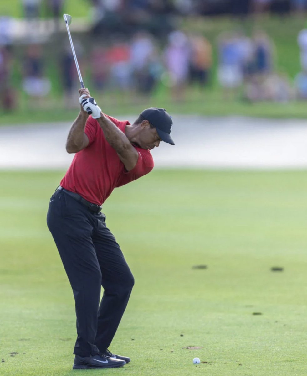 MYGOLFSPY tweet media