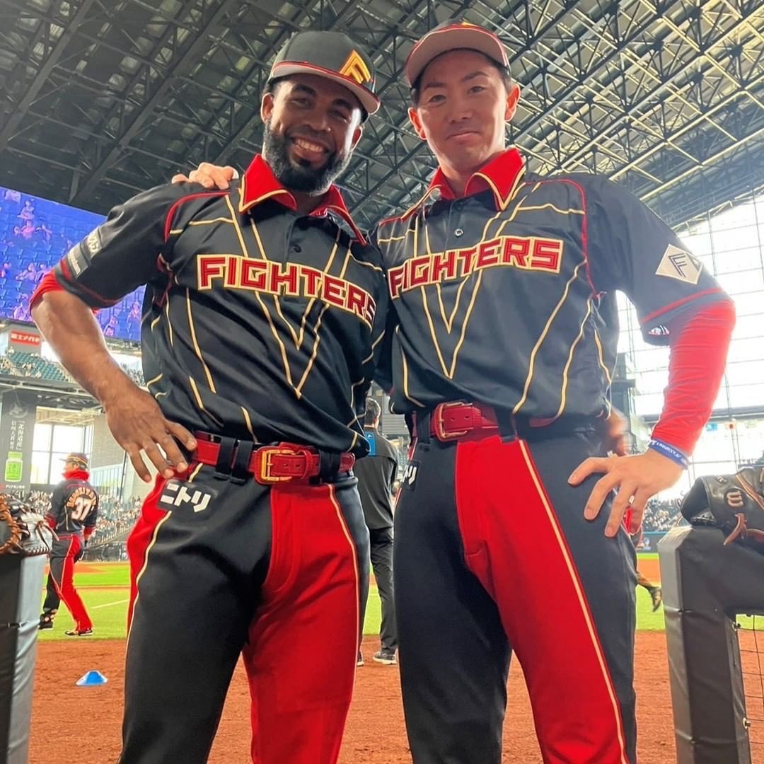 MLB Life on X: Japanese baseball team Hokkaido Nippon-Ham