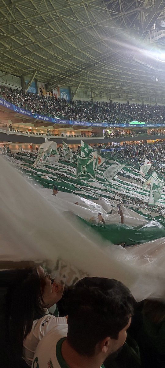 rafaklest's tweet image. A melhor coisa do estádio (mais exatamente no gol norte), é que os mimadinhos avanteens da SEPTT não estão lá e do sofá da casa deles, são inofensivos!