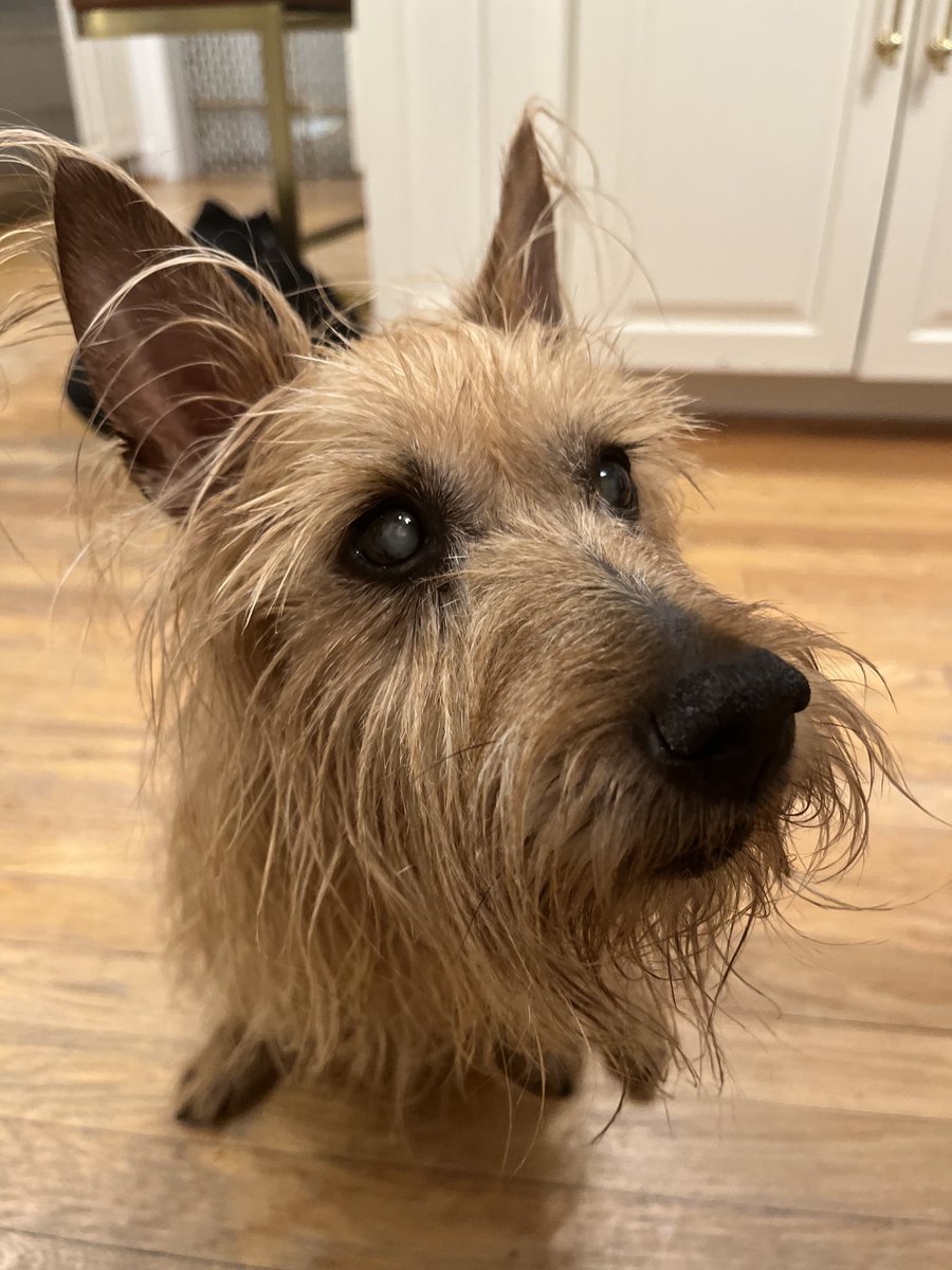 WinstonTapper tweet media