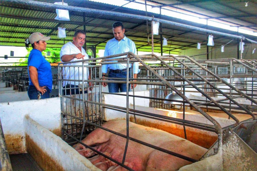 josemvasquez's tweet photo. La granja Campo Alegre en el municipio Roscio, cuenta con tecnología de punta que permite contabilizar en tiempo real la producción así como un laboratorio que tecnifica la cadena Productiva de esta empresa. ¡Un ejemplo más de que en Guárico la producción es indetenible! https://t.co/LsJFjpYa26
