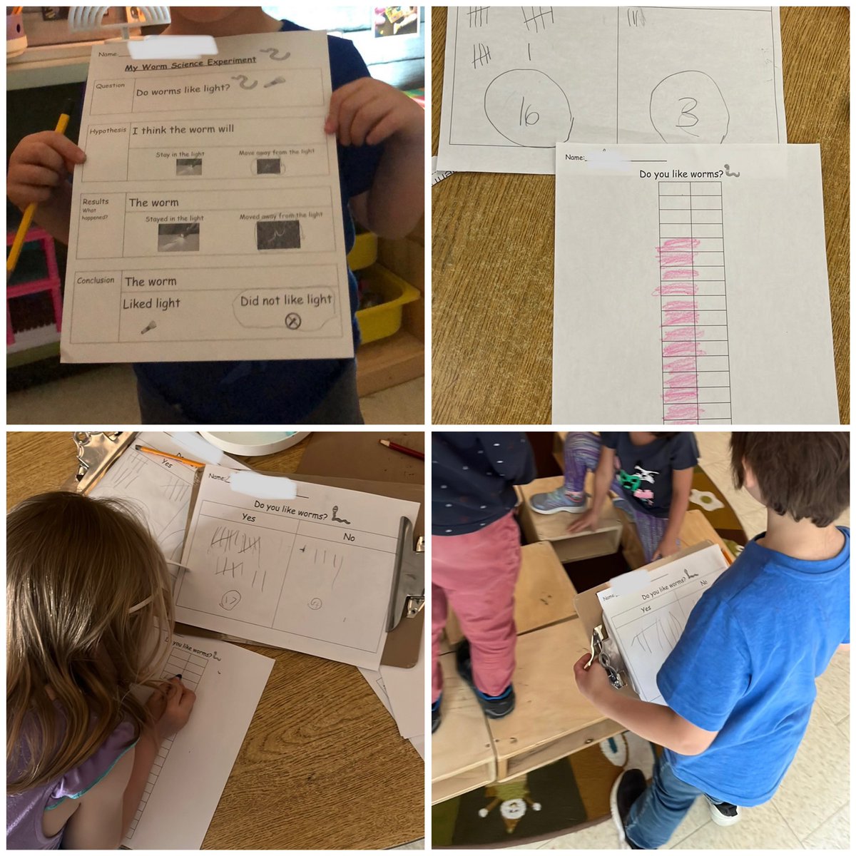 Renee Trivelli tweet media