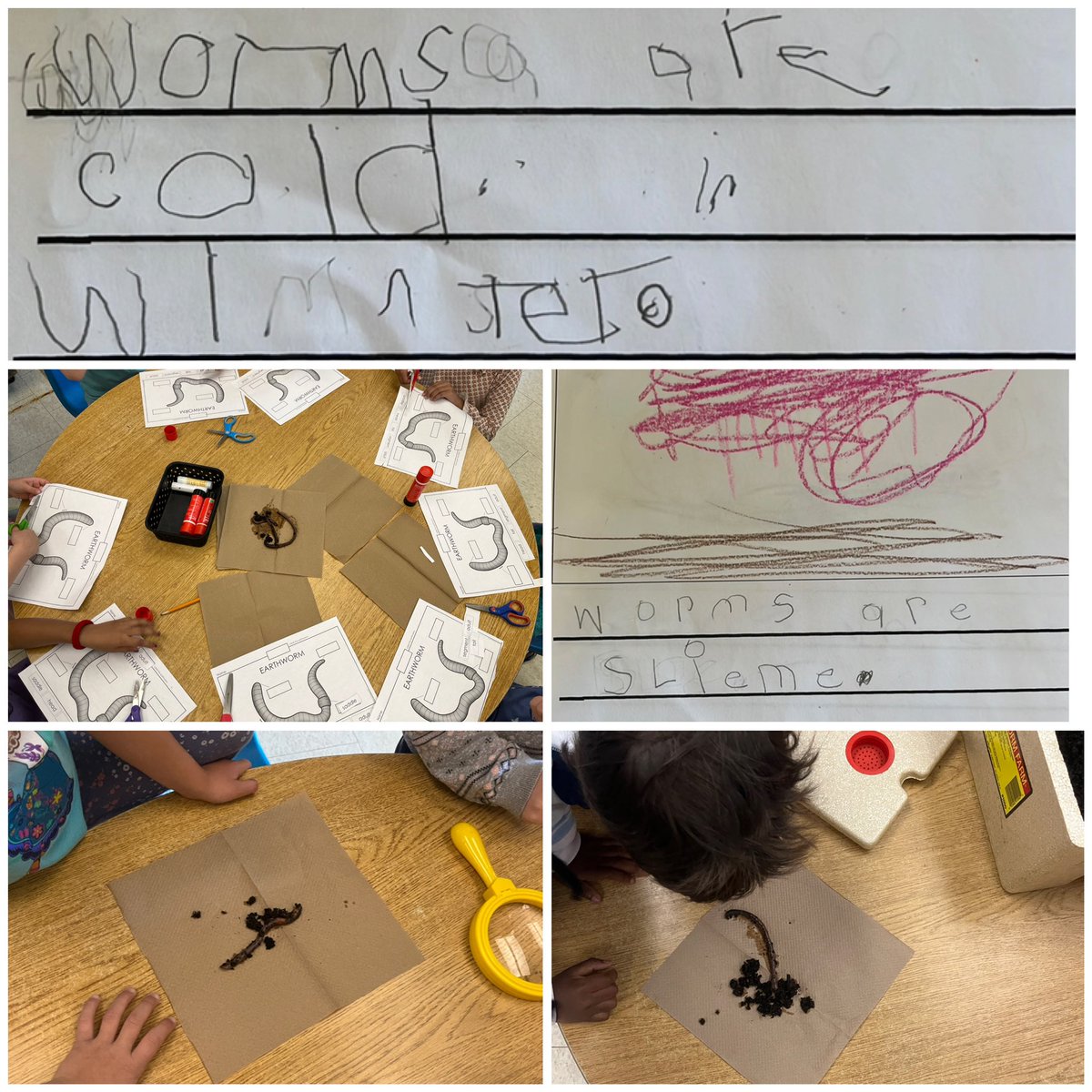 Renee Trivelli tweet media