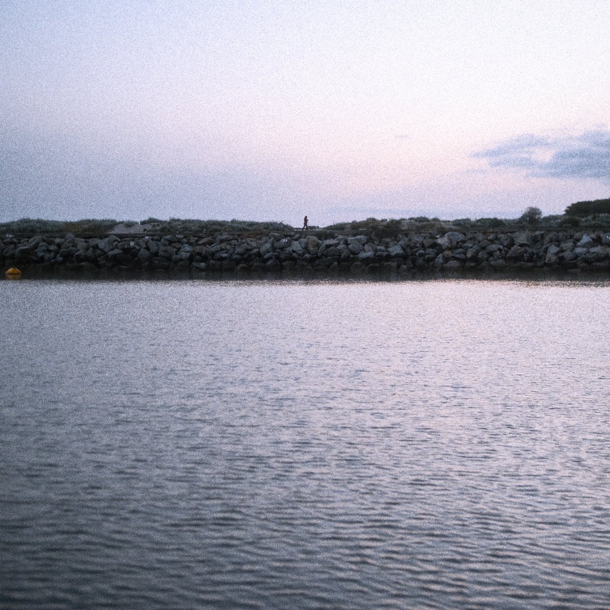 2dbert's tweet image. 5th avenue