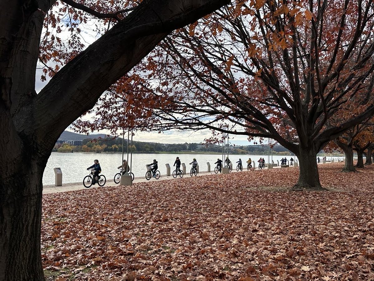 Shauna Colnan tweet media