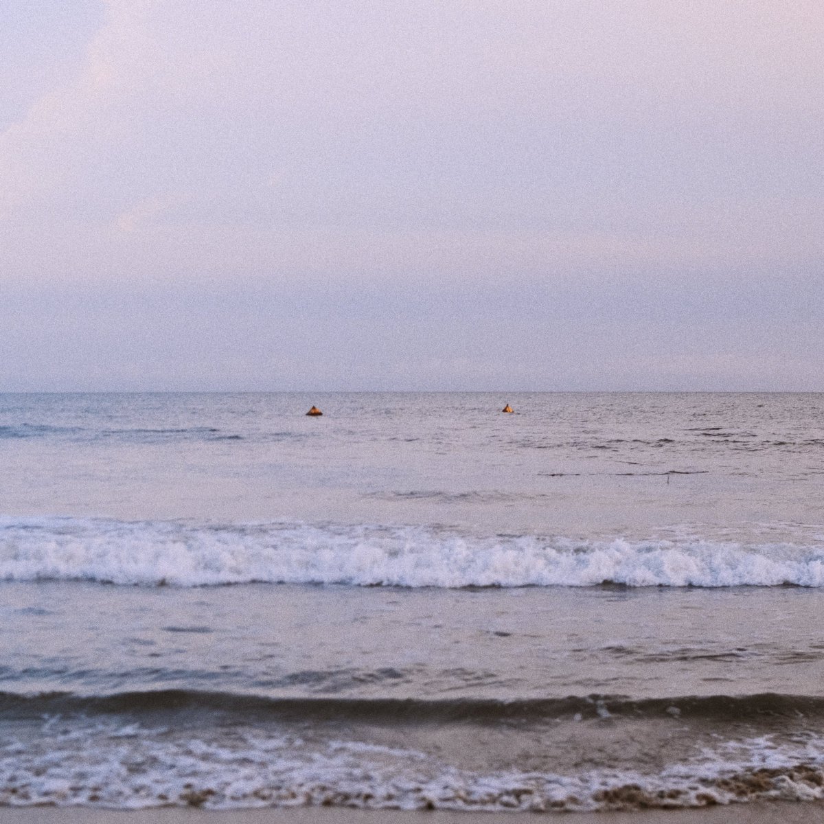 2dbert's tweet image. 5th avenue