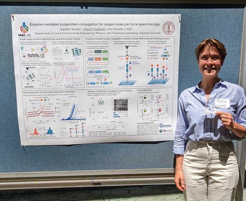 Stanford Polymer Collective tweet media