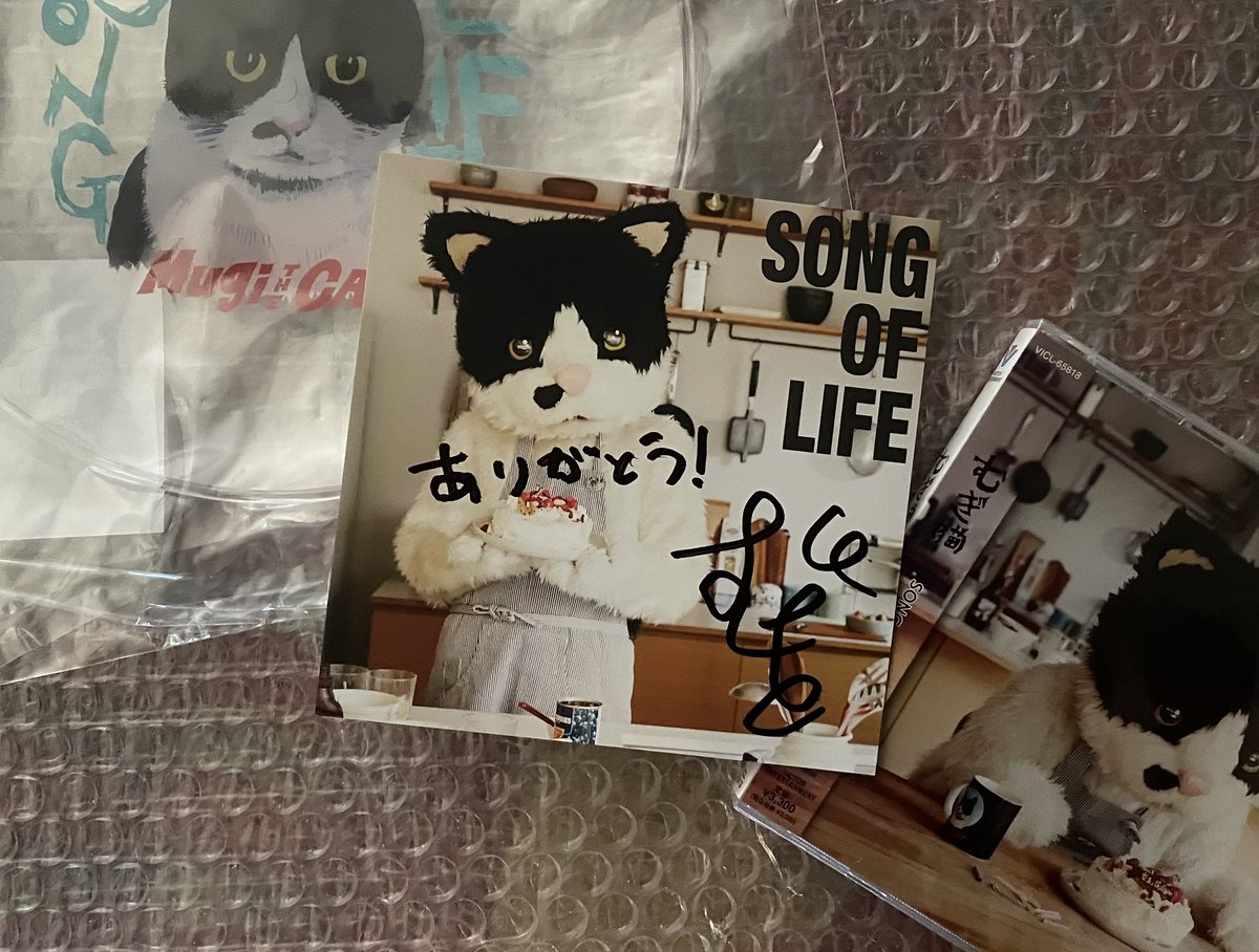 こちらこそすぎるオブザイヤー
#むぎかっこねこ
#SONGOFLIFE