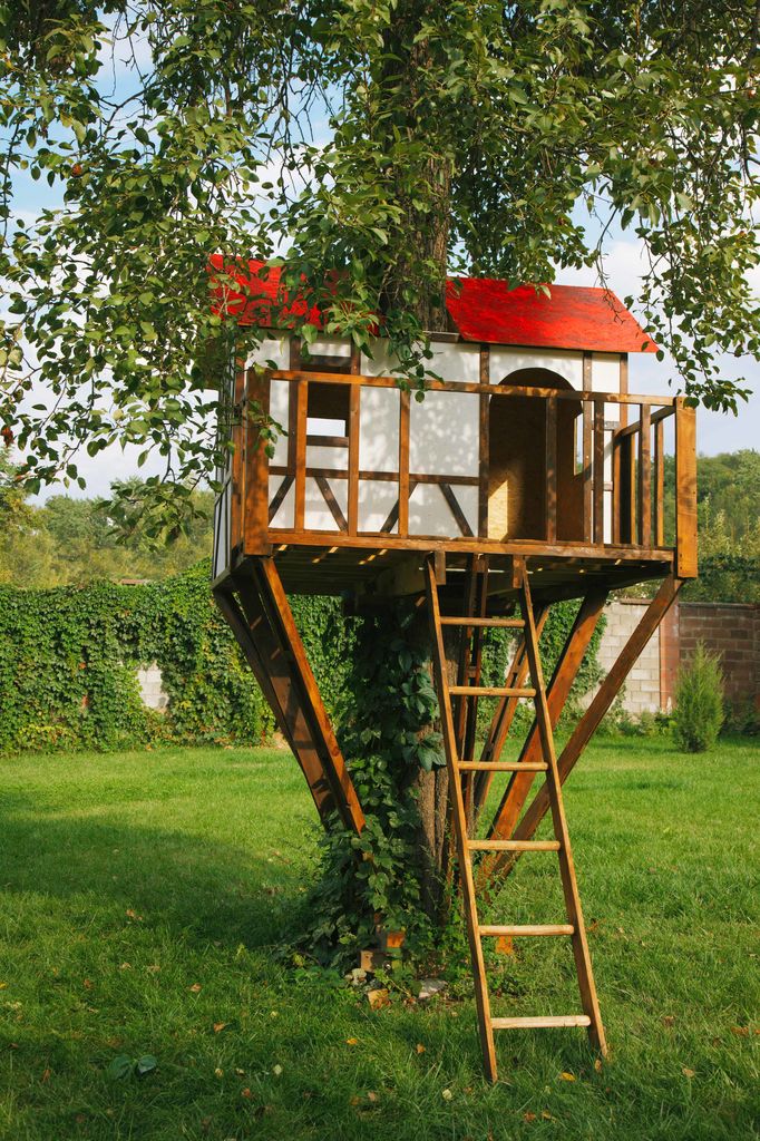Have you ever attempted to build a treehouse in the backyard?

#santaclarita #luxuryhomes #homesearch #sanfernandovalleyhomes #passionforrealestate #wanttomove #househunting #homesforsale #dreamhome #justsold facebook.com/18947984738683…