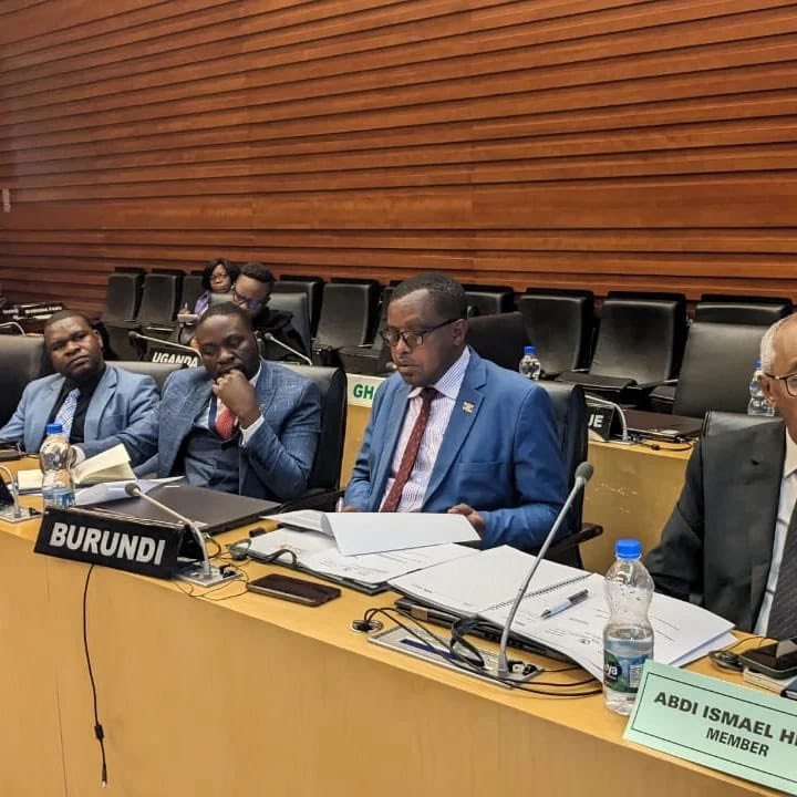 BurundinAddis's tweet photo. #Burundi: Amb. @willynyamitwe a été honoré de prononcer le discours d’ouverture de la 2è interaction entre la #CUADI (Commission de l’UA sur le droit international) &amp; les États Membres de l’Union Africaine sous le thème: “2009 à 2023: où en est la CUADI 14 ans après sa création?” https://t.co/oNyzxcMfYV