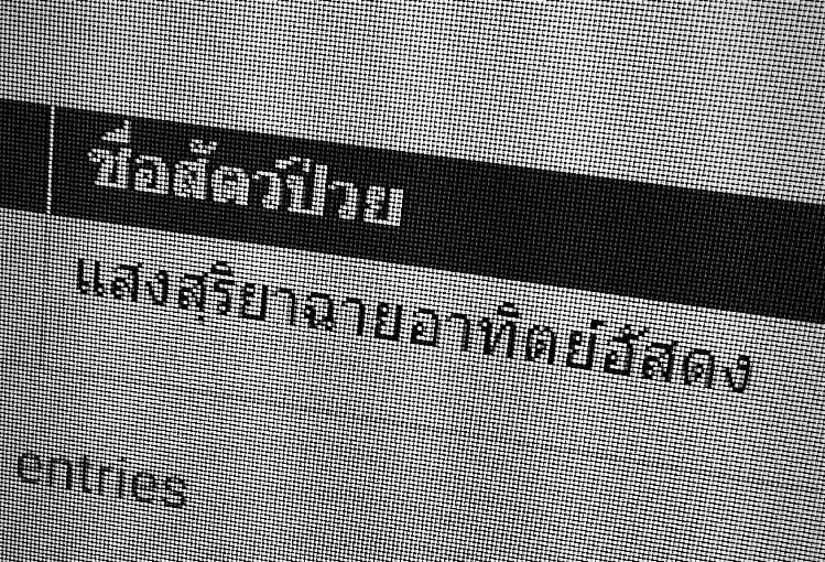 เจ้ามอม tweet media