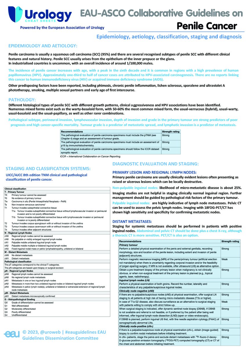 Our newest #EAUUrologyCheatSheets is a collaborative effort with @ASCO to create comprehensive guidelines on #PenileCancer. Review the updated #EAUGuidelines on #PenileCarcinoma with this one page cheat sheet. 🔎 uroweb.org/guidelines/pen…