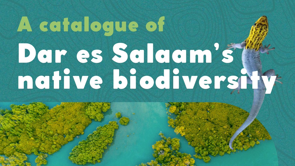 #DarEsSalaam in #Tanzania falls in a unique coastal forest #biodiversity hotspot of global importance. 

This biodiversity catalogue showcases its unique native biodiversity &amp; guides planting for ecosystem services such as shade, food &amp; medicine🌳🌾🌿

🔗interactbio.iclei.org/resource/a-cat…