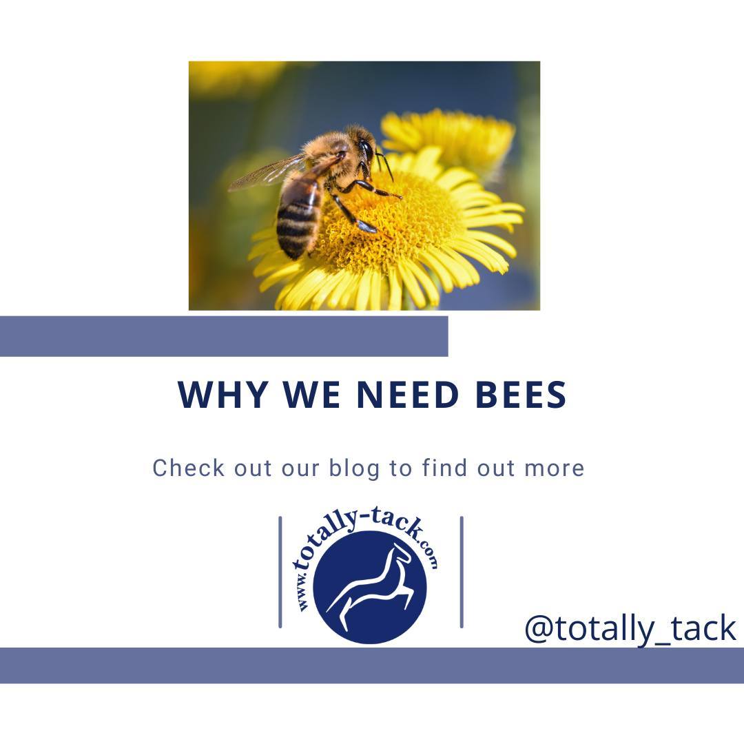 Totally_Tack's tweet photo. Do you know why bees are so important 🐝 🐝
Read out blog to find out https://t.co/44NkmqZ877 https://t.co/FvqRcWdtlo