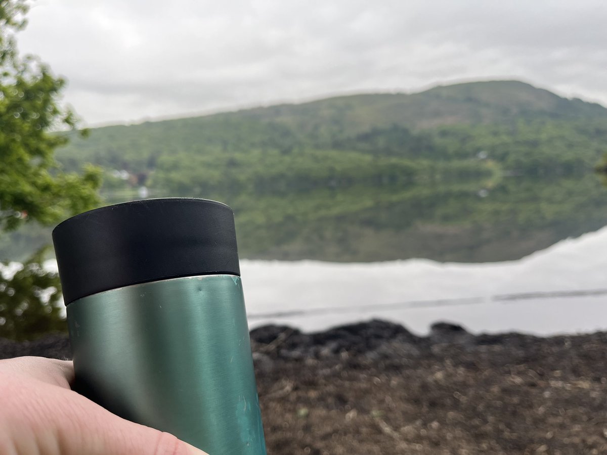 Layton Trips tweet media