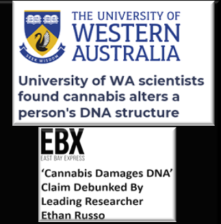 mr_internet's tweet photo. The community remembers UWA when funded by DOH / Ley MP ..scary - Folks threatened action against UWA at the time. #CannabisWA #wapol #auspol #wabudget #budget #legalisecannabis #CannabisCommunity It is part of reason law reform is messed up today - and ignored in your paper. https://t.co/rXYjf3tVEx