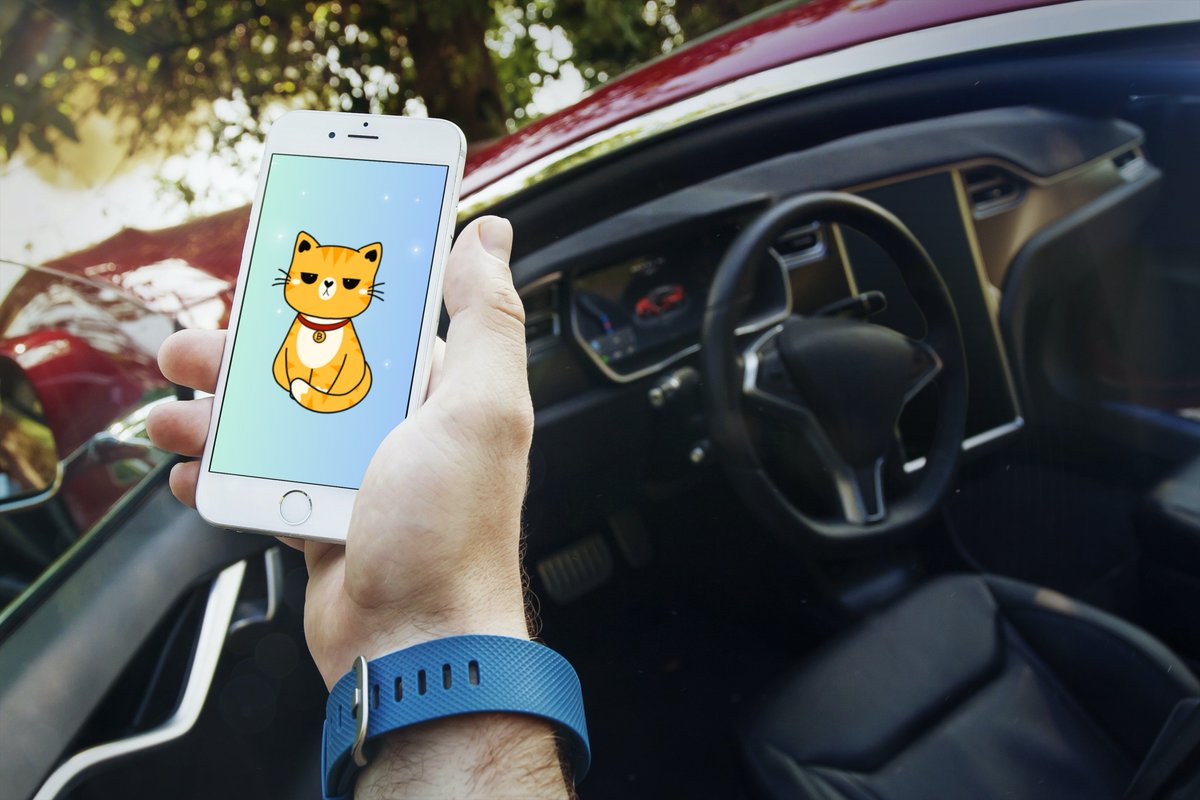 GrumpyKittenEth's tweet photo. Grumpy Kitten is the only meme project that fosters a collaborative consensus system for other meme tokens via its novel Proof Of Meme.

Read our whitepaper today to know more!

#pepe #crypto #eth #shib https://t.co/xTqTvDbgyz