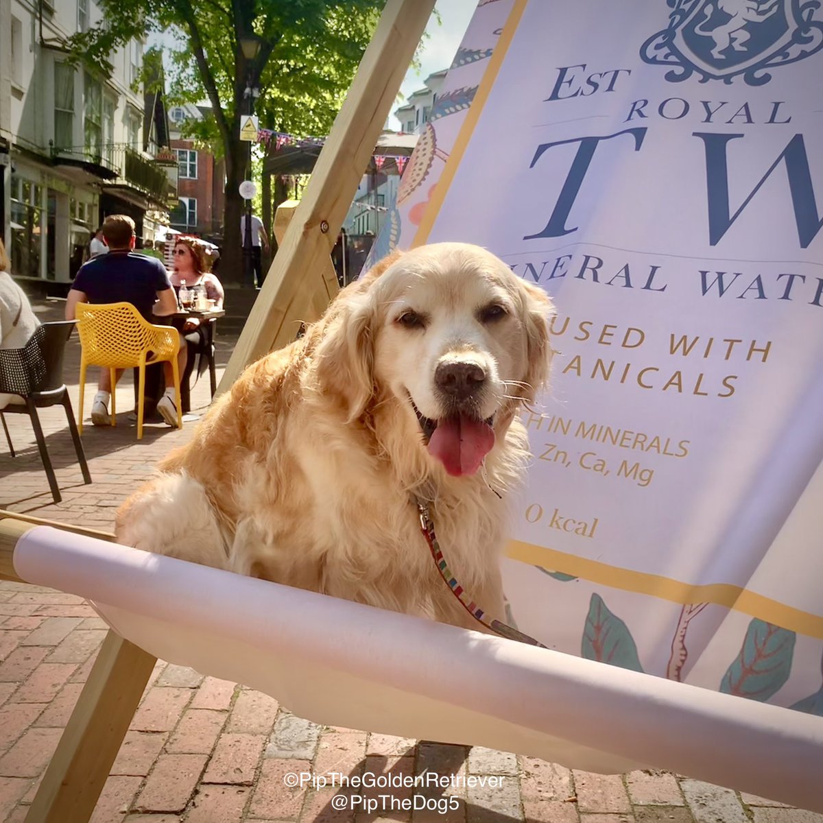 🌤️🐶📸

What do you call a funny TV show about deckchairs? 🤔

A sitcom! 😂

#BadJokes  #dogsoftwitter
#GoldenRetrievers 🐕😀🐾