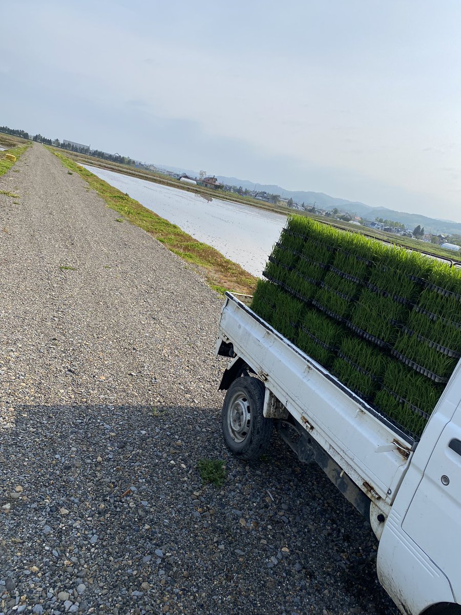 hide1122kurata's tweet photo. さあまたこの時期だ
頑張ろう
#田植え https://t.co/tjJ1jTw0fM
